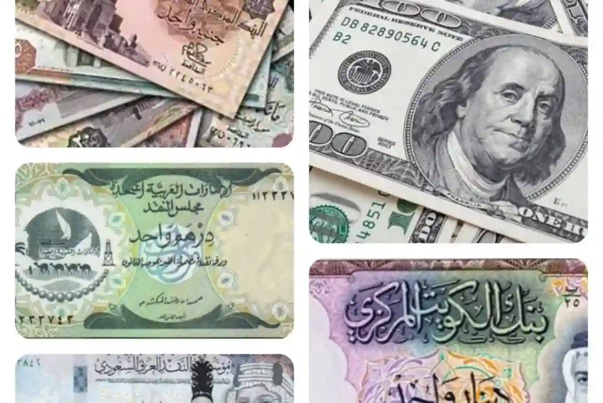 الدولار يرتفع في مصر
