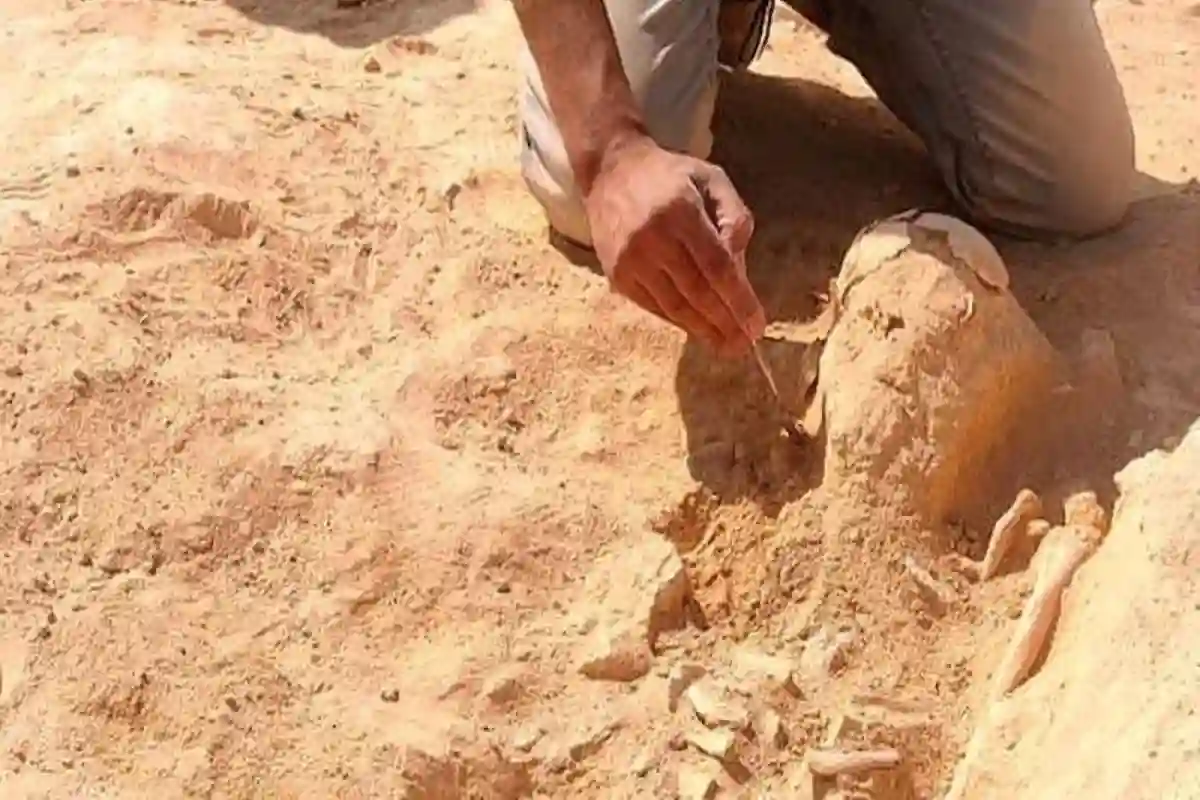  مقبرة أثرية