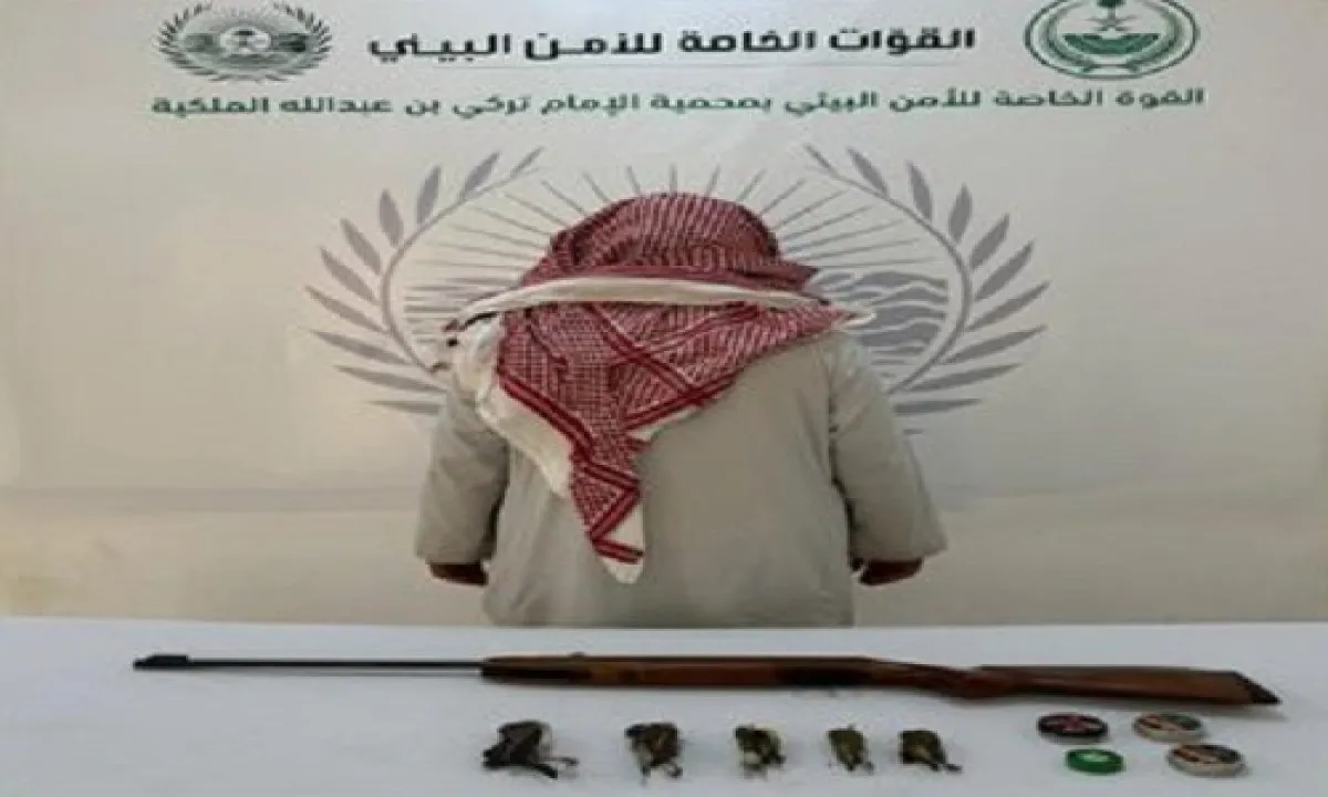 الأمن البيئي