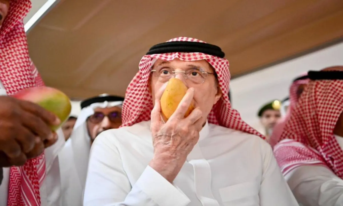 مهرجان المانجو